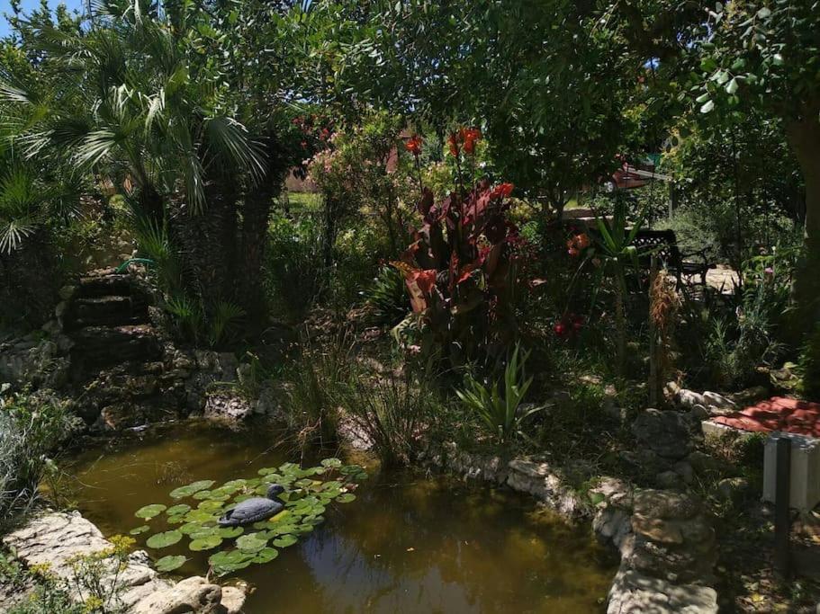 Villa Vivienda Rural La Choza à Jerez de la Frontera Extérieur photo